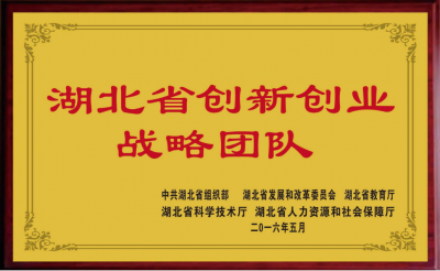 Double innovation strategy